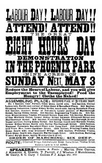 Irish Trade Unions before Congress by Fergus D'Arcy 5