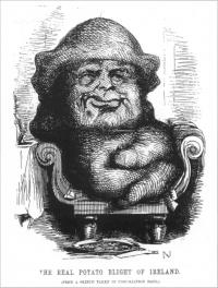 Punch and the Great Famine By Peter Gray 1