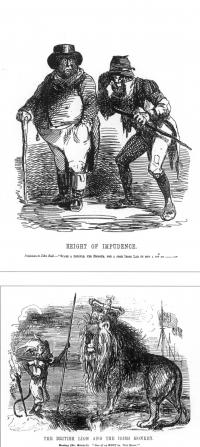 Punch and the Great Famine By Peter Gray 4