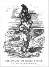 Punch and the Great Famine By Peter Gray 7