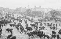Eyre Square, Galway, c. 1916. Like most of the towns in east Galway, the ‘City of the Tribes’ was resolutely pro-Redmond and anti-Sinn Féin. (NLI)