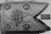 Flag of the Lower lveagh Yeoman Cavalry.(Reproduced with the kind permission of the Trustees of the Ulster Museum, Belfast)