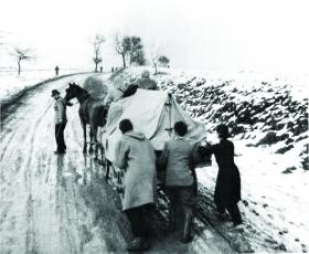 Refugees arriving at the Austrian border. (Rolf Gillhausen, Stern)