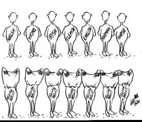 The Ethnic Mix in Medieval Wexford 8