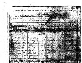 Detail of the schedule for the ‘parish of Rathcool and Denomination of Kilkearon, County of Kilkenny, Diocese of Ossory’, with (l–r) name and occupation; place of abode; arrears; name of lands and arrears; townland; barony. (National Archives)