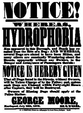 Poster proclaiming the round-up of stray dogs in response to a rabies (hydrophobia) scare. (PortCities Hartlepool)