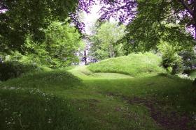 Tulach Óg, Co. Thír Eoghain, suíomh oirnithe na Niallach atá luaite ag údar Chín Lae Uí Mhealláin [Tullyhogue, Co. Tyrone, inauguration site of the O’Neills mentioned by the author of Friar O’Mellan’s Journal].