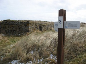 The ‘church in the dunes’ at Forvie, Aberdeenshire, which is thought locally to have been founded by St Adomnán. Each year on 23 September, the feast of St Adomnán, pilgrims walk to the church from nearby villages and celebrate the Eucharist there. (Stephen Fisk)